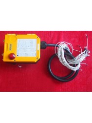 F24-6D telecrane radio type remote control 