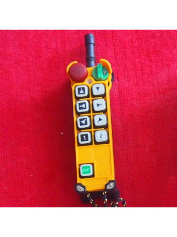 F24-8D crane control remote