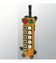 F24-10S radio control system for crane 