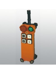 F21-4D telecrane radio remote control 